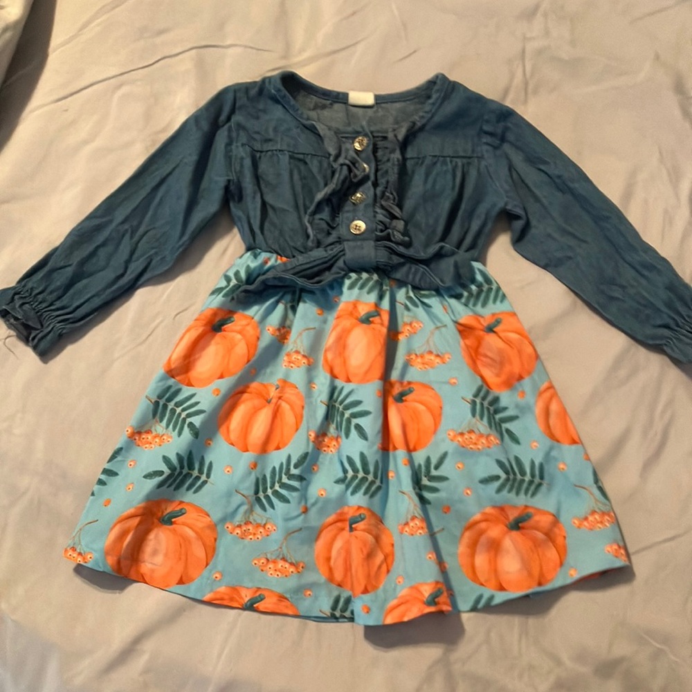 Fall denim dress